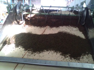 product8